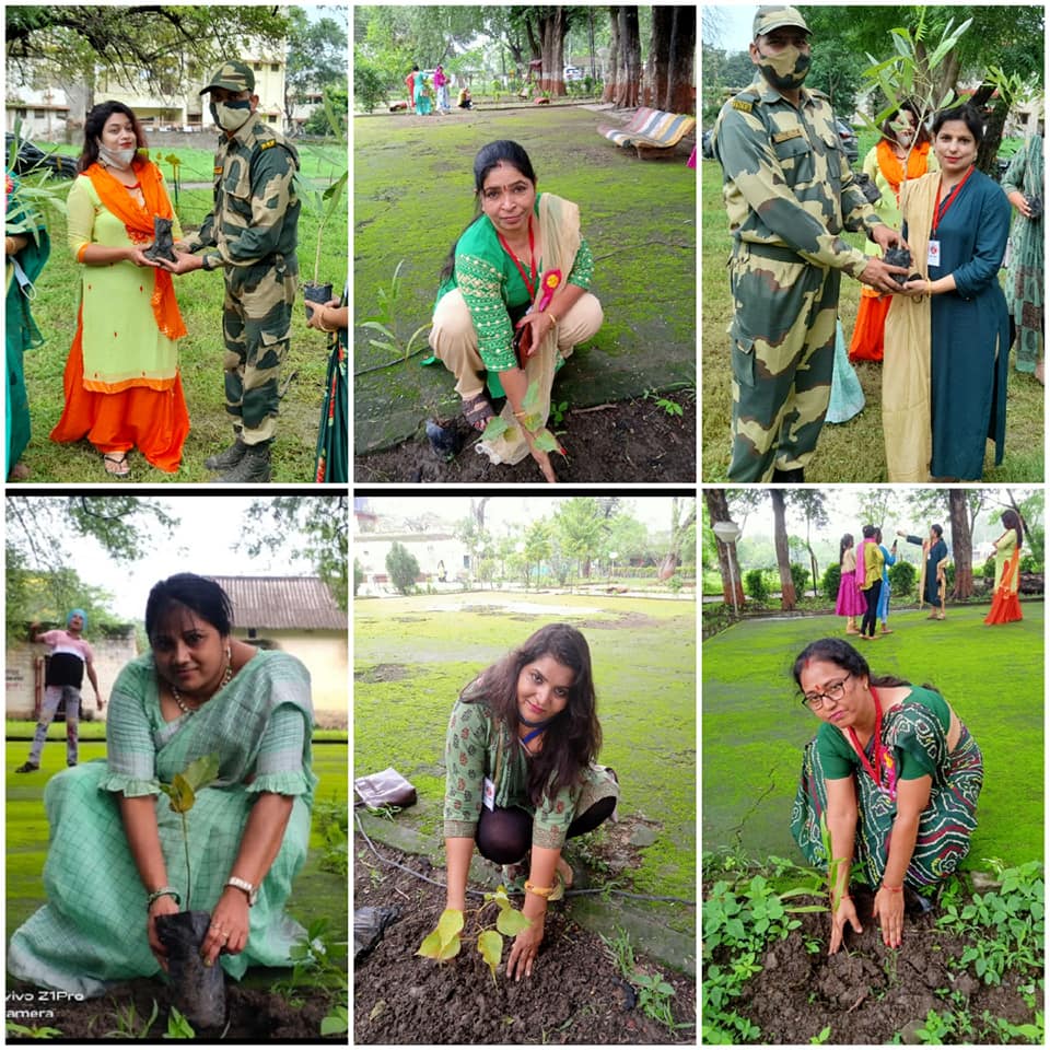 Tree Plantation with BSF