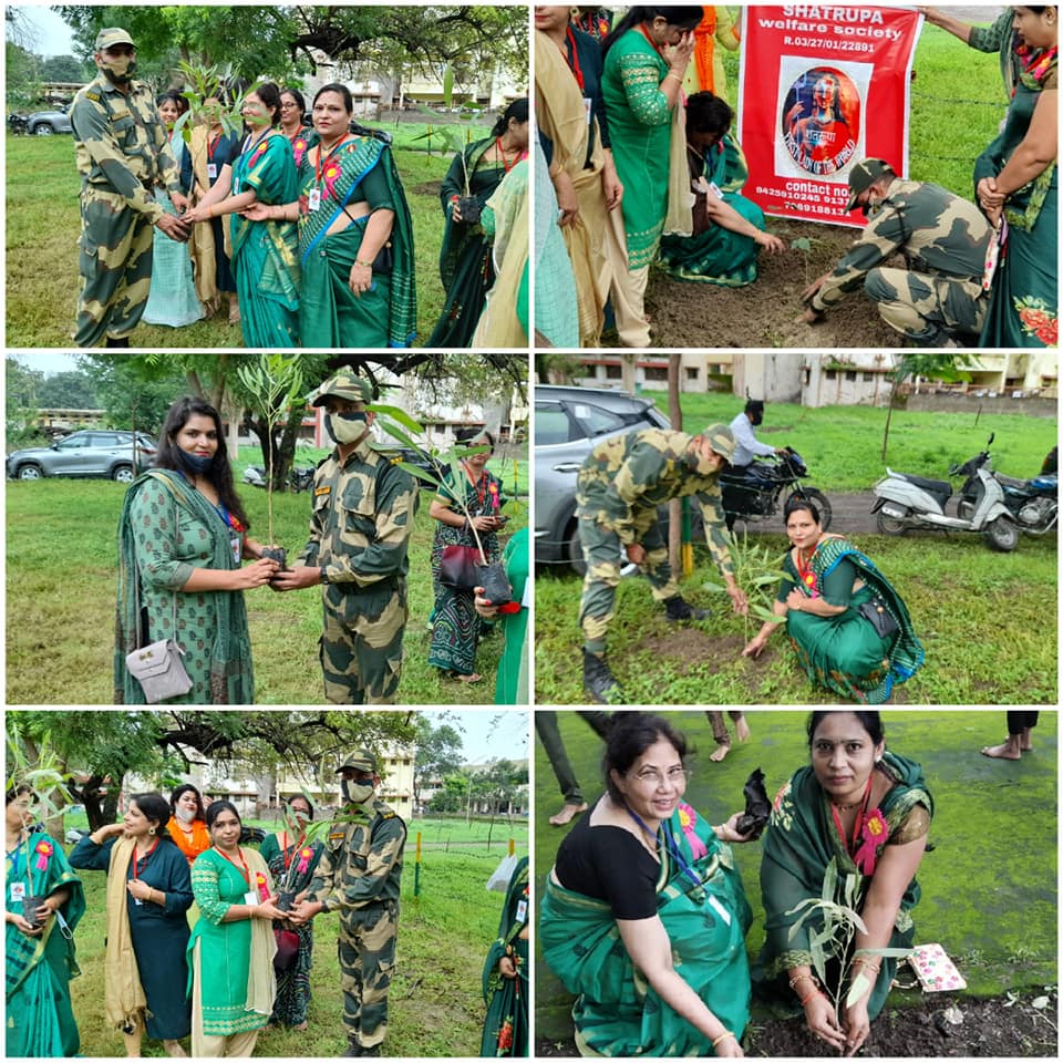 Tree Plantation with BSF